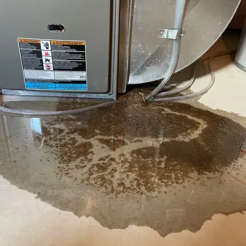 Appliance Leak Cleanup in Saline, MI